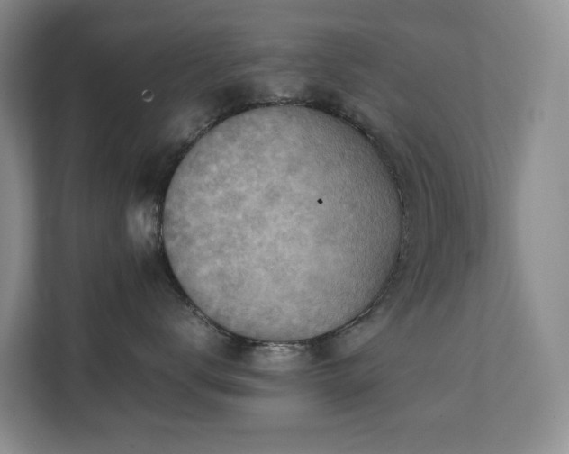 X0000111350672200907101211
