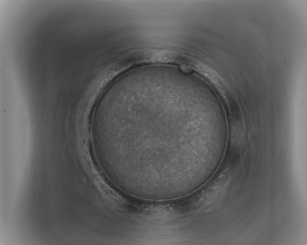 X0000111350673200907101210