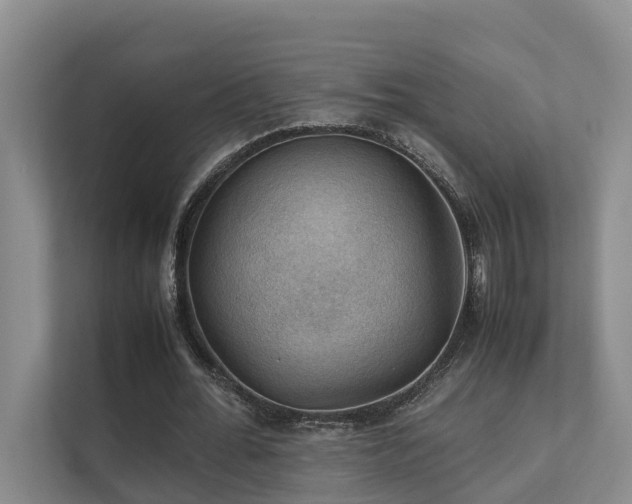 X0000111350676200907101210
