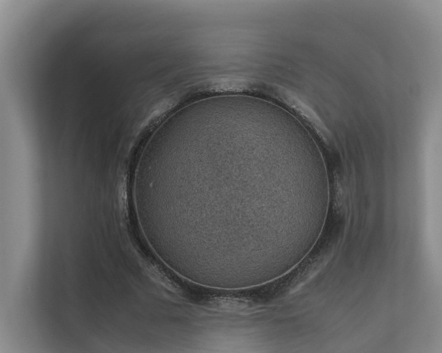 X0000111350681200907101210