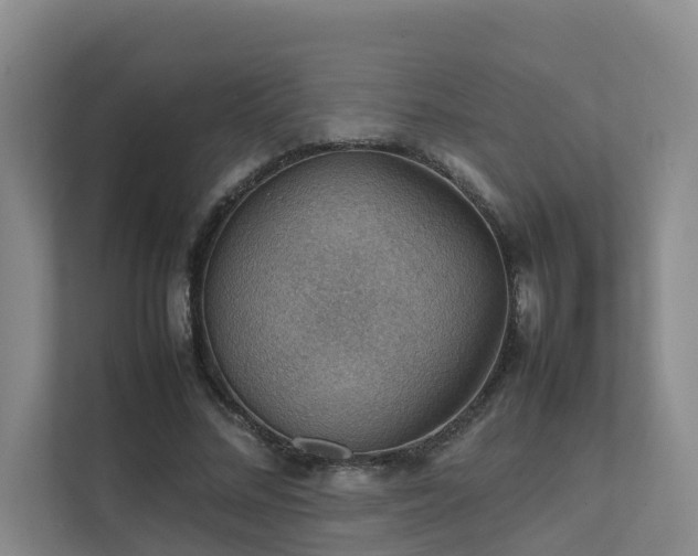 X0000111350684200907101210