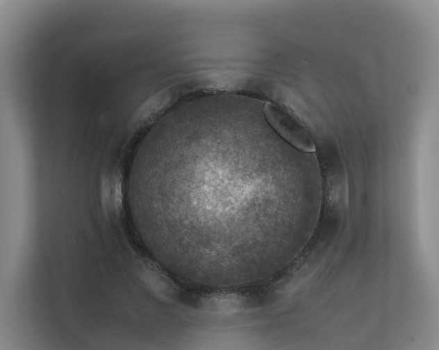 X0000111350685200907101210