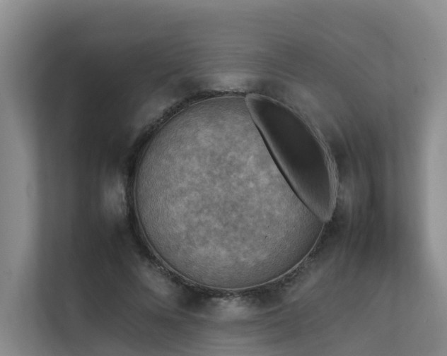 X0000111350688200907101210