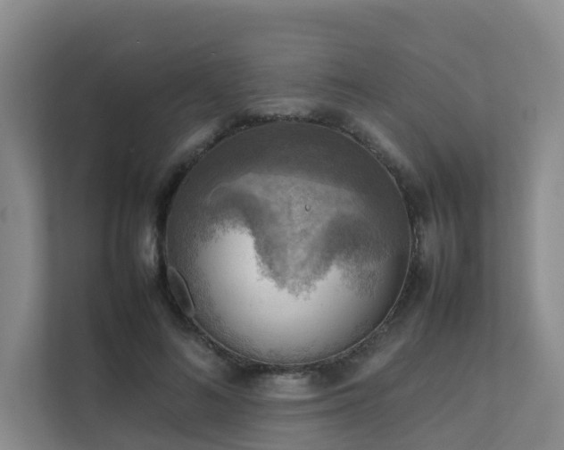 X0000111350692200907101210