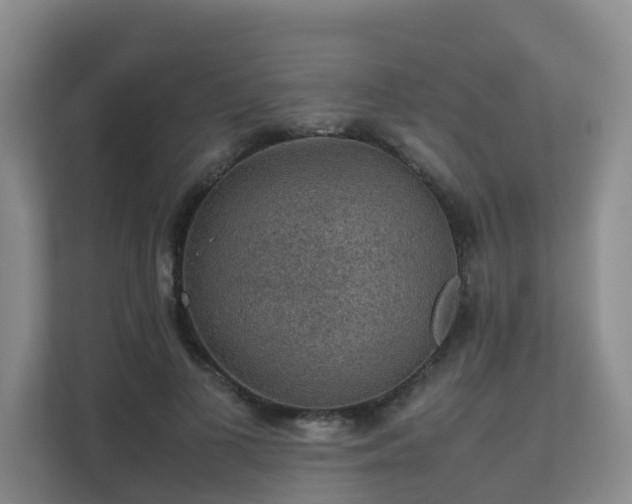 X0000111350693200907101210