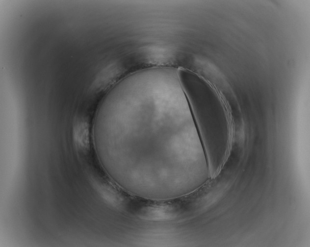 X0000111350696200907101210