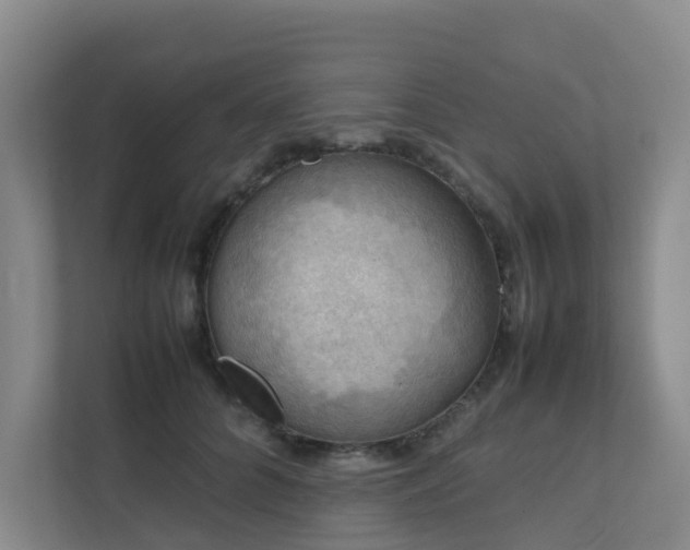 X0000111350704200907101210