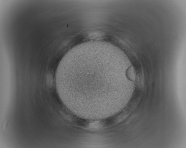 X0000111350705200907101210