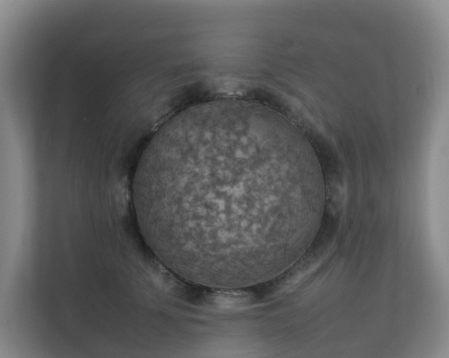 X0000111350707200907101210