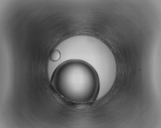 X0000111350708200907101210