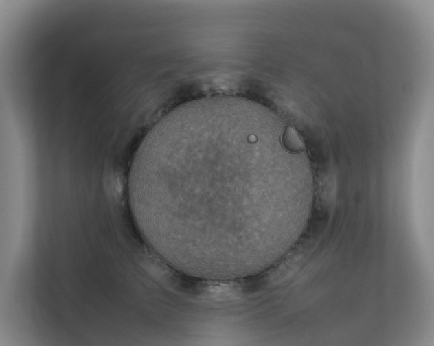 X0000111350709200907101210