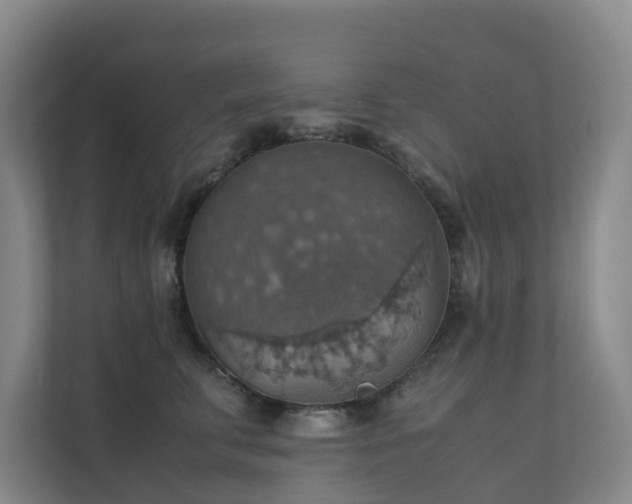 X0000111350711200907101210