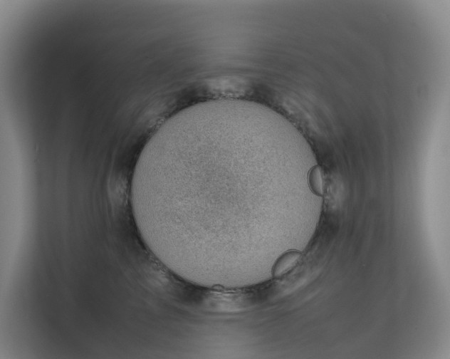 X0000111350713200907101210