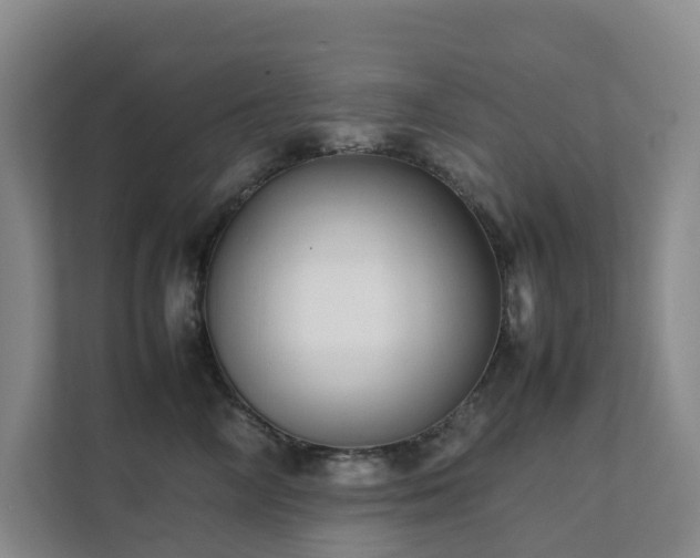 X0000111350714200907101210