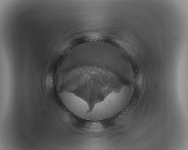 X0000111350715200907101210