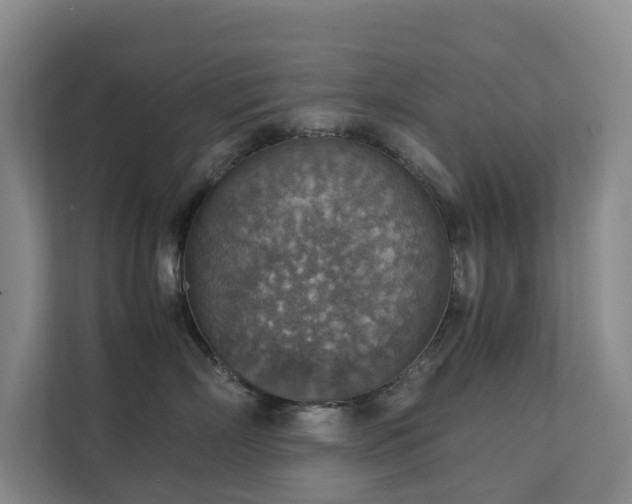 X0000111350718200907101210