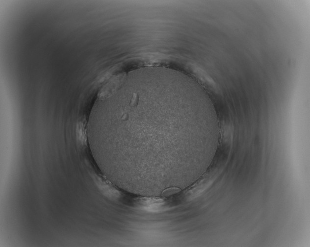X0000111350719200907101210