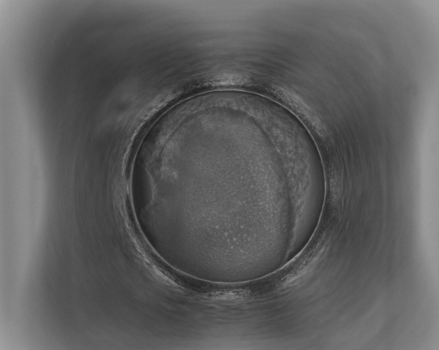 X0000111350721200907101209