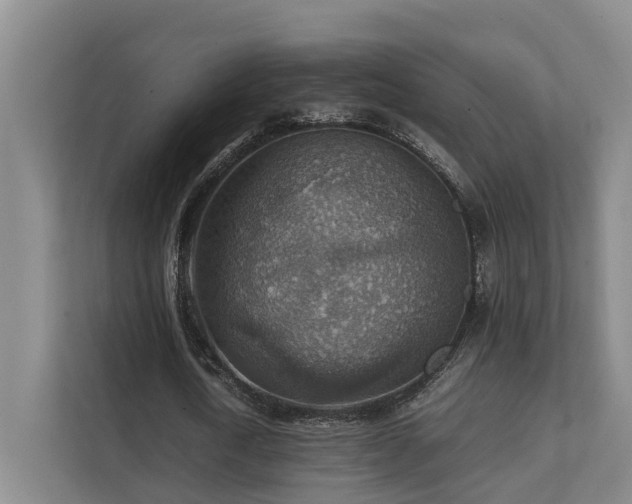 X0000111350722200907101209