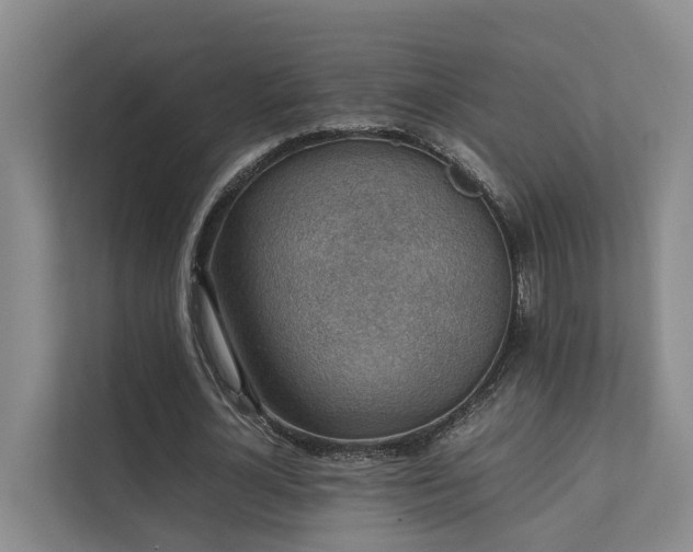 X0000111350724200907101209