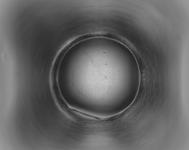 X0000111350726200907101209