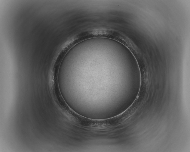 X0000111350727200907101209