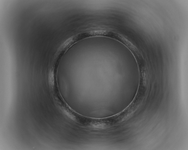 X0000111350729200907101209