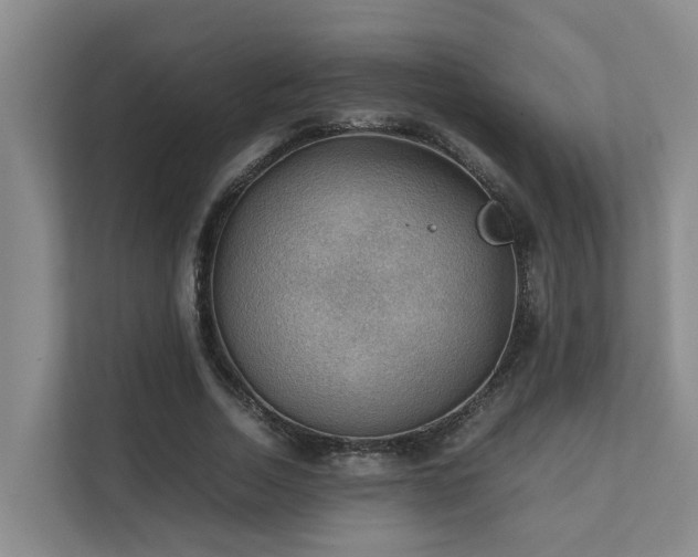 X0000111350730200907101209