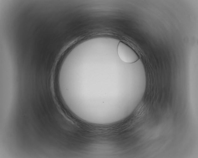 X0000111350732200907101209