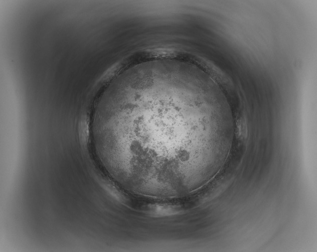 X0000111350733200907101209
