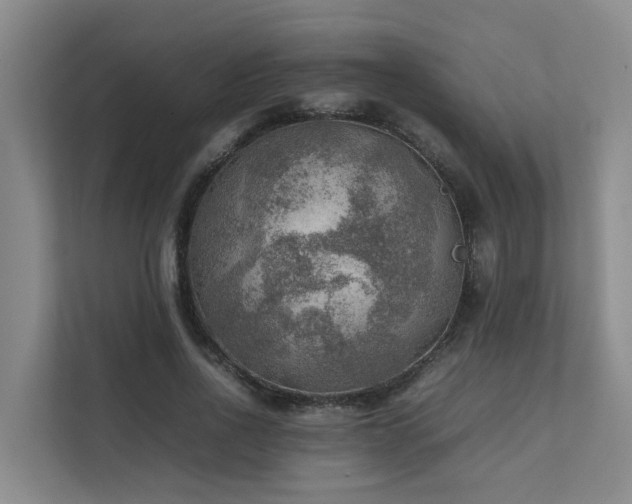 X0000111350734200907101209