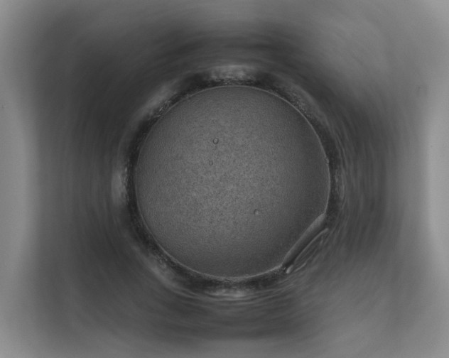 X0000111350735200907101209