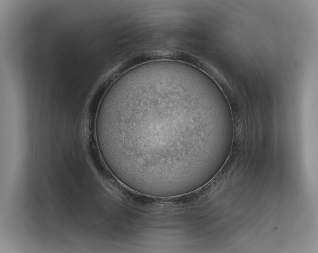 X0000111350736200907101209