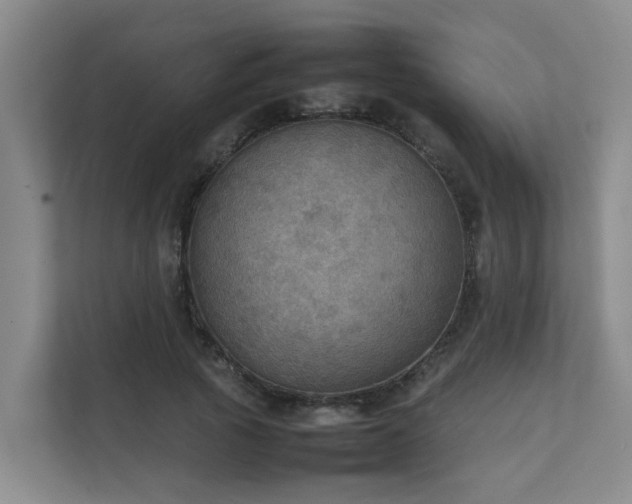 X0000111350737200907101209