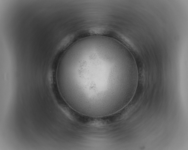 X0000111350738200907101209