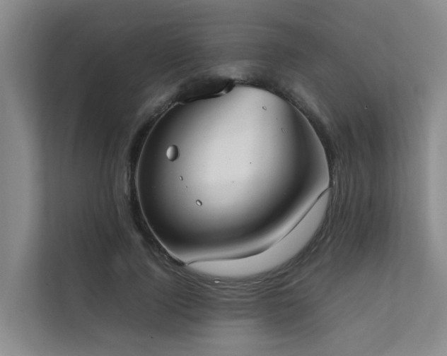 X0000111350740200907101209