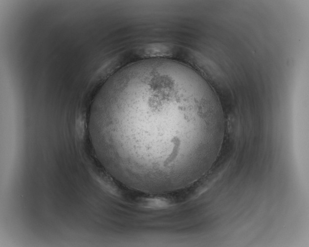 X0000111350741200907101209