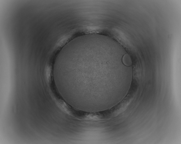 X0000111350742200907101209