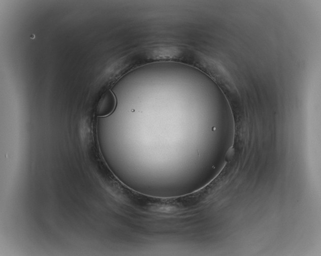 X0000111350743200907101209