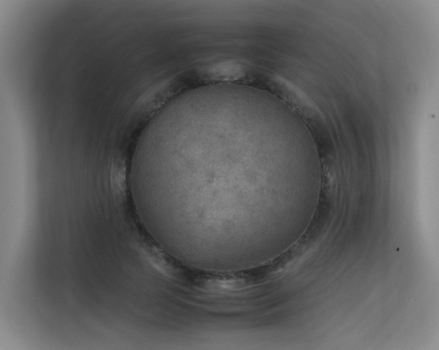 X0000111350745200907101209