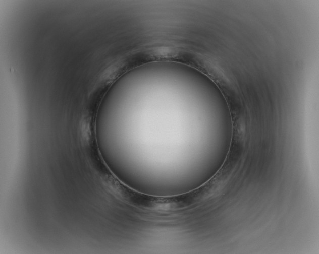 X0000111350746200907101209