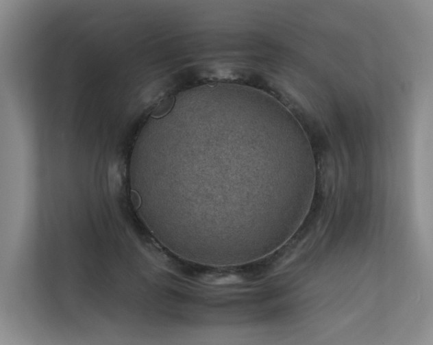 X0000111350747200907101209