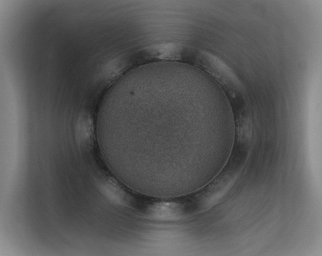 X0000111350748200907101209
