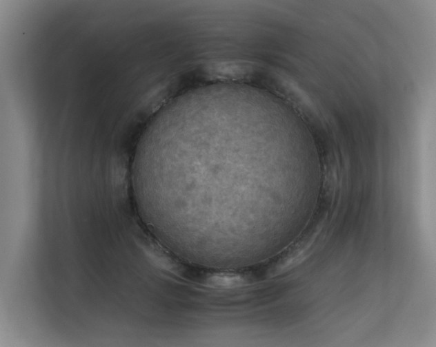 X0000111350749200907101209
