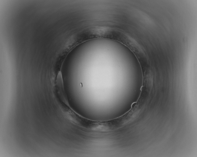 X0000111350750200907101209