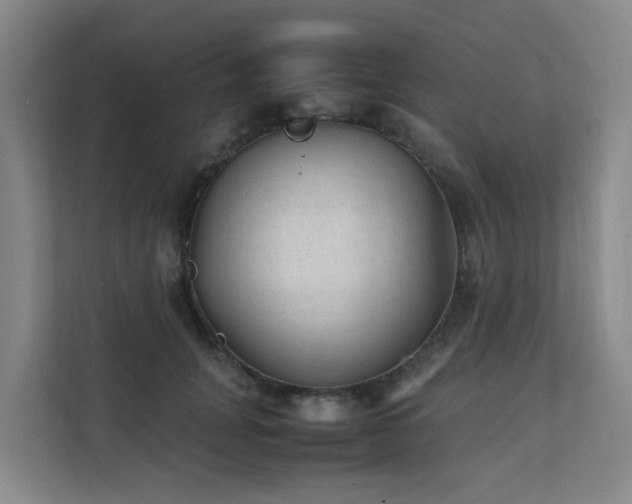 X0000111350751200907101209