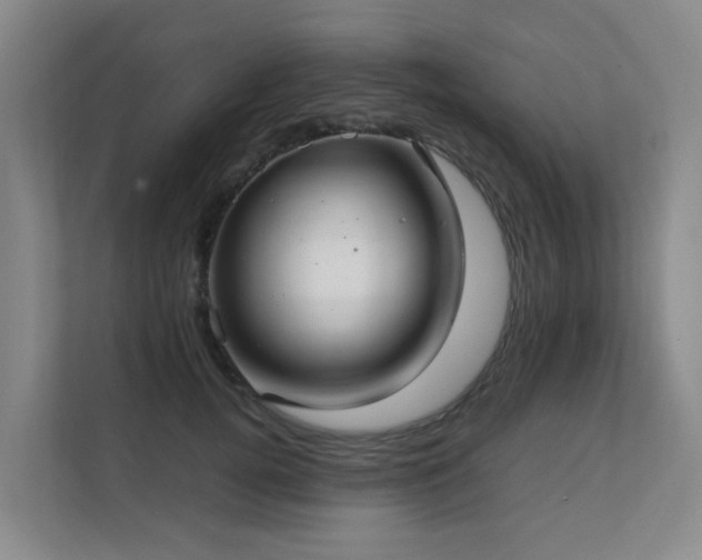 X0000111350752200907101210