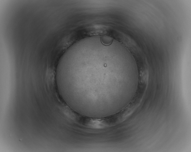 X0000111350753200907101210