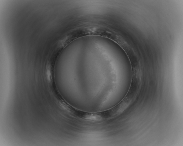 X0000111350754200907101210