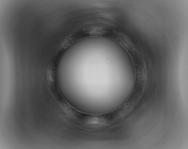 X0000111350755200907101210